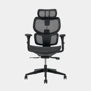Ghế công thái học FortisChair