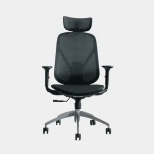 Ghế công thái học ElysChair