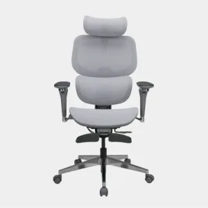 Ghế công thái họ FortisChair 2.0